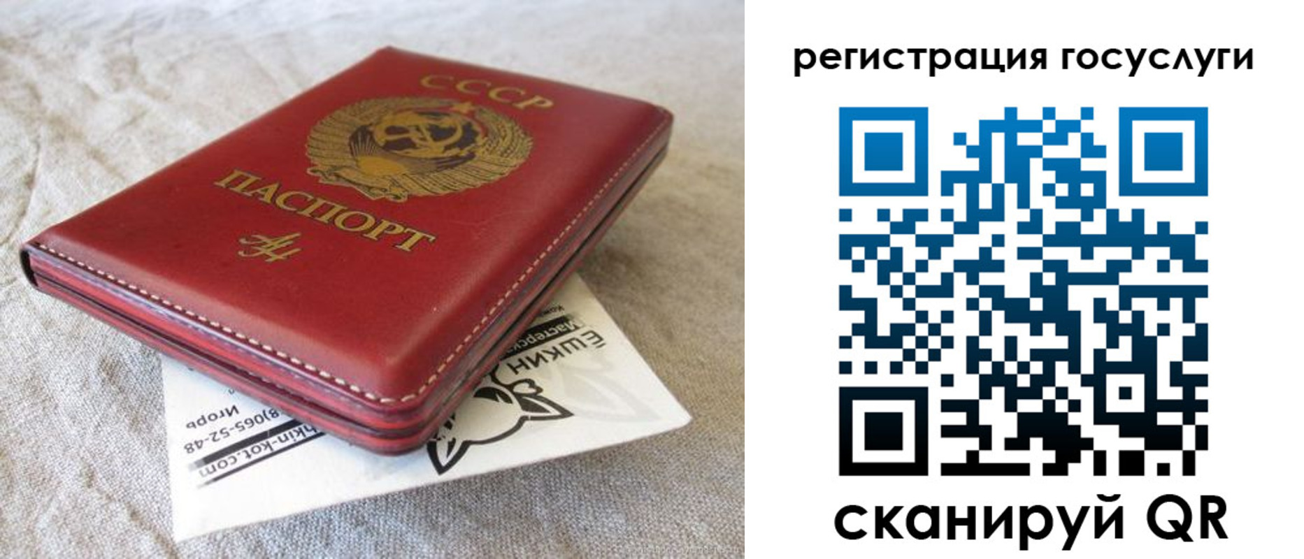 регистрация для школы в Ногинске
