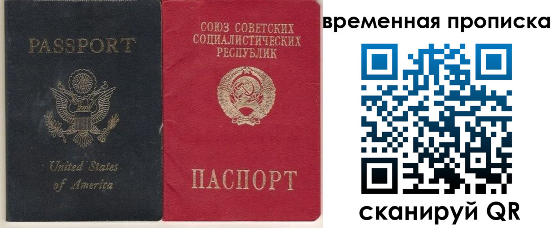 прописка для школы в Ногинске